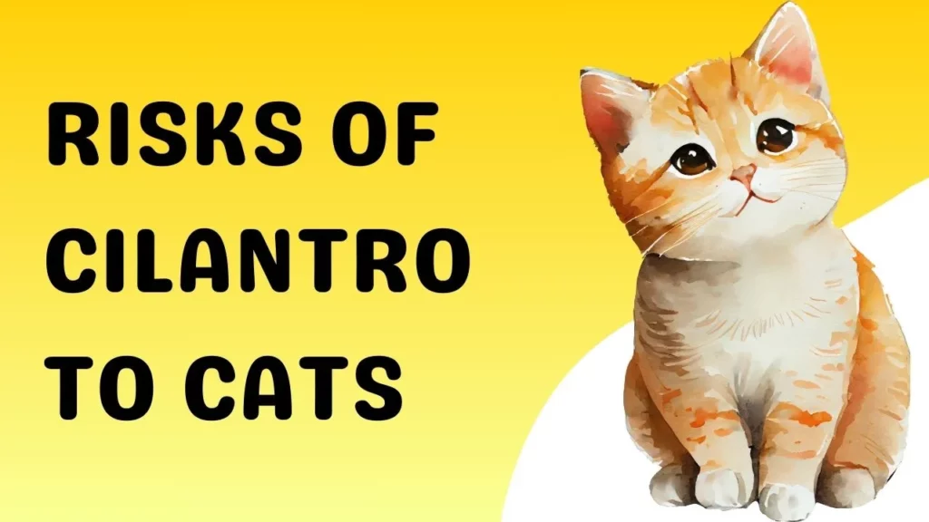 Risks from Cilantro to Cats